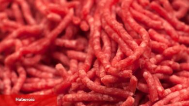 Kıymayla Bağlantılı Salmonella Salgınında 16 Kişi Hastalandı