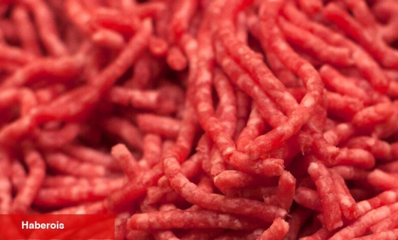 Kıymayla Bağlantılı Salmonella Salgınında 16 Kişi Hastalandı
