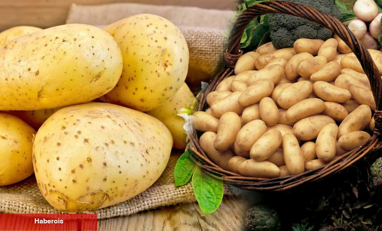 Kızartmalık ile yemeklik patates ortasındaki fark nedir?Kızartmalık patates ile yemek yapılır mı