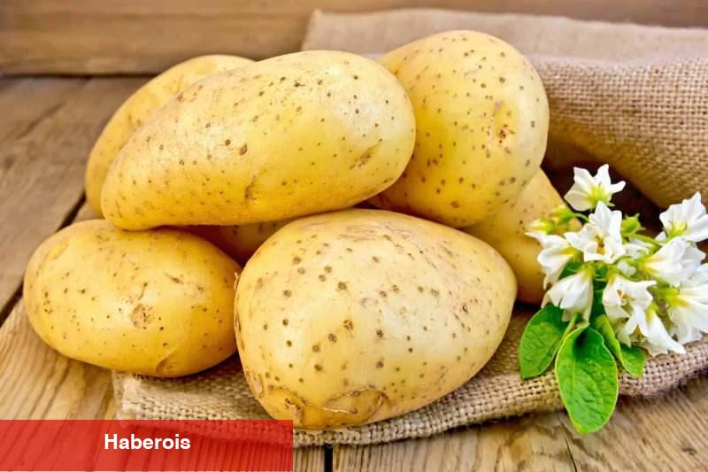 Kızartmalık ile yemeklik patates ortasındaki fark nedir?Kızartmalık patates ile yemek yapılır mı