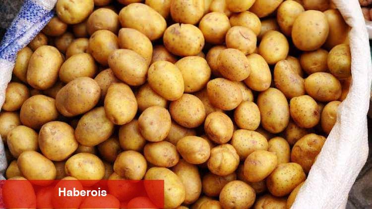 Kızartmalık ile yemeklik patates ortasındaki fark nedir?Kızartmalık patates ile yemek yapılır mı