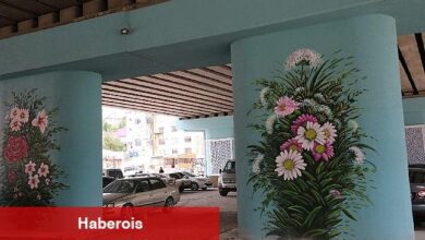 Kocaeli Güzelleşiyor, Körfez'e görsel zenginlik kattı