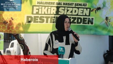 Kocaeli'de bal hasadı şenliği