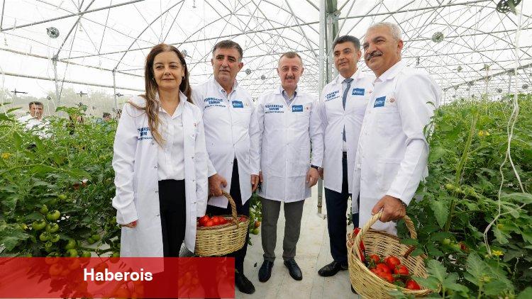 Kocaeli’de sebze ve meyveler topraksız tarımla yetiştiriliyor