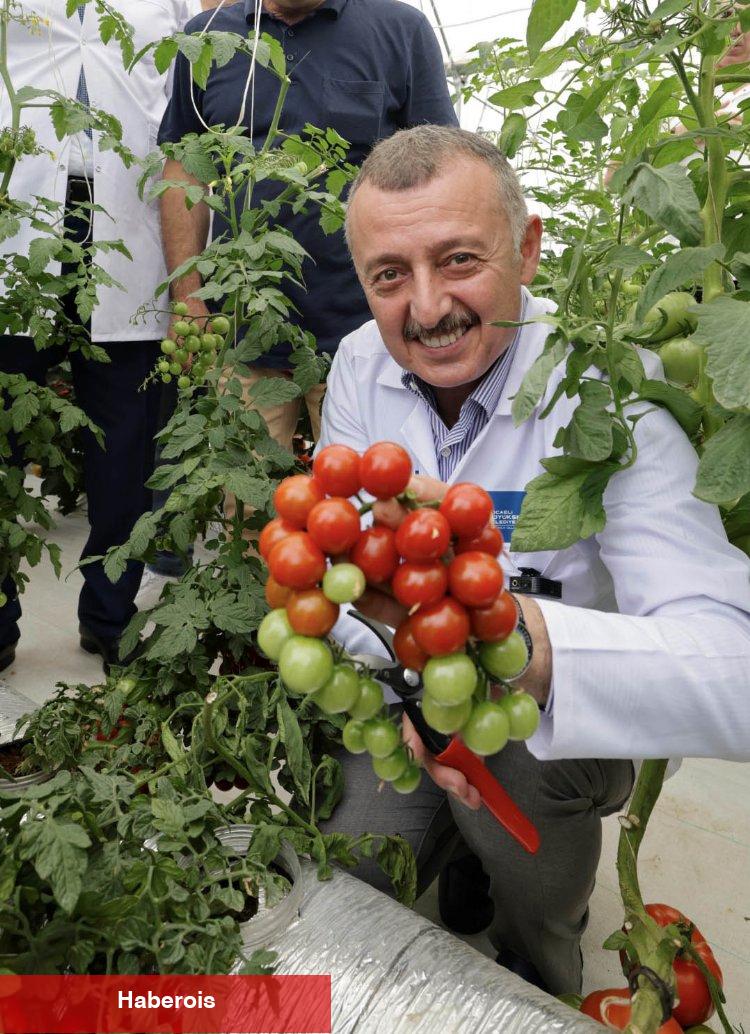 Kocaeli’de sebze ve meyveler topraksız tarımla yetiştiriliyor