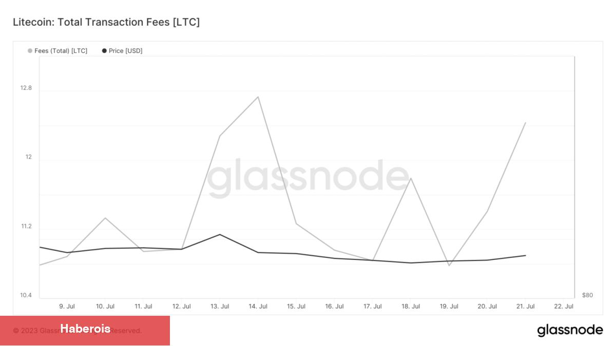 Konumunuzu Alın! Halving Sonrası Bu Altcoin İçin Dev İddia - Haberois Konumunuzu Alın! Halving Sonrası Bu Altcoin İçin Dev İddia