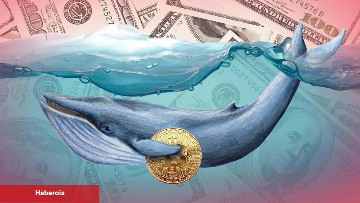 Kripto Balinaları Bu Altcoinlerden Yüklüce Sattı! - Haberois Kripto Balinaları Bu Altcoinlerden Yüklüce Sattı!