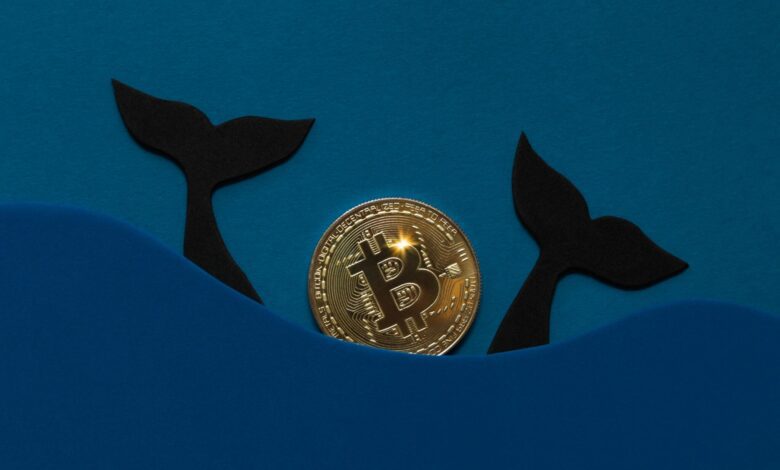 Kripto Balinaları Bu Altcoinlerden Yüklüce Sattı! - Haberois Kripto Balinaları Bu Altcoinlerden Yüklüce Sattı!