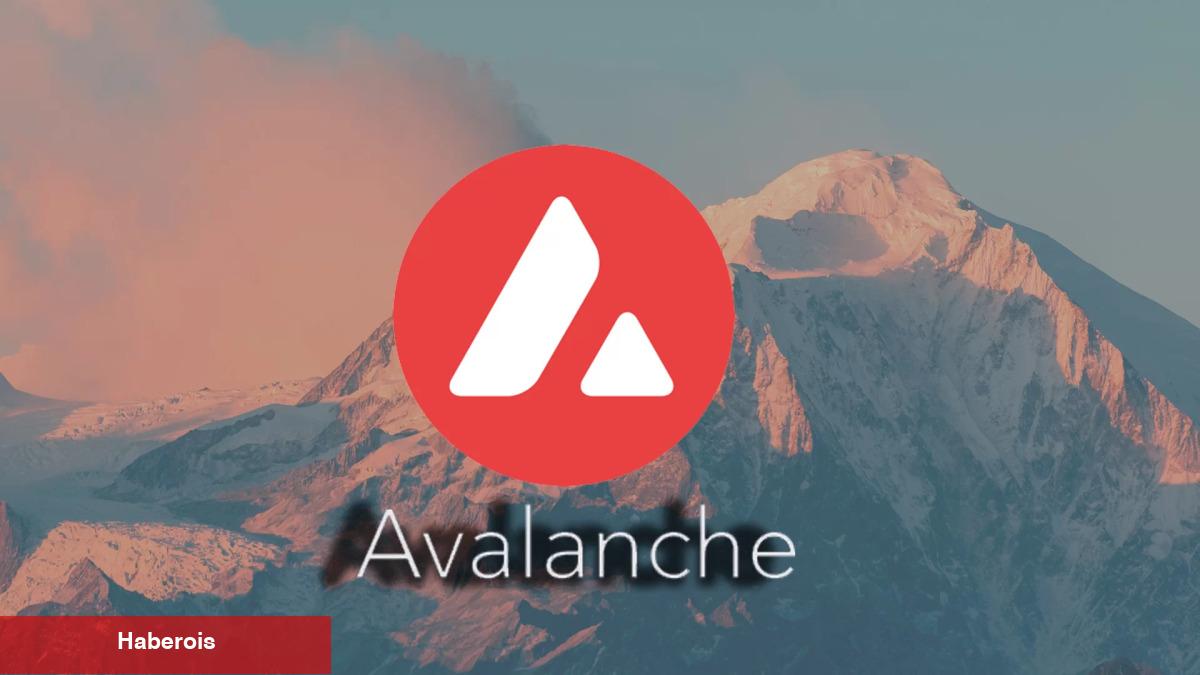 Kripto Para Balinaları Gizlice Bu DeFi Coinleri Biriktiriyor!