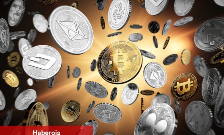 Kripto sektörünün temelleri: Kripto ticaretinde temel terimler nelerdir? - Haberois Kripto sektörünün temelleri: Kripto ticaretinde temel terimler nelerdir?