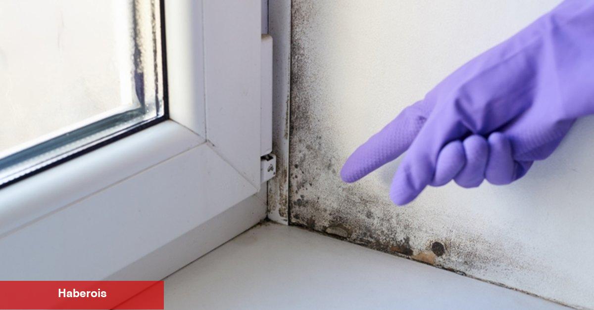 Küf temizlemek için doğal yöntemler!