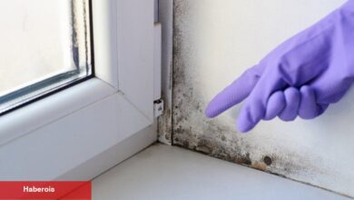 Küf temizlemek için doğal yöntemler!