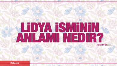 Lidya isminin manası nedir? Lidya ismi Kuran'da geçiyor mu? Lidya isminde kaç kişi var?