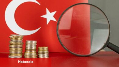 Liste Açıklandı: Türk Yatırımcılar Bu 9 Altcoin’i Tercih Ediyor!