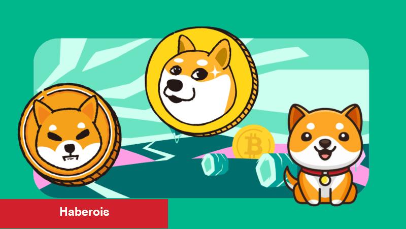 Liste Çıktı: En Yeterli 5 Göğüs Coin Bunlar Seçildi!