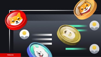 Liste Çıktı: En Yeterli 5 Göğüs Coin Bunlar Seçildi!