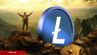 Litecoin Halving İçin Geri Sayım: Milyonerler Artıyor!