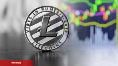 Litecoin, Ödemelerde Bitcoin’i Geride Bıraktı! LTC Tahlili