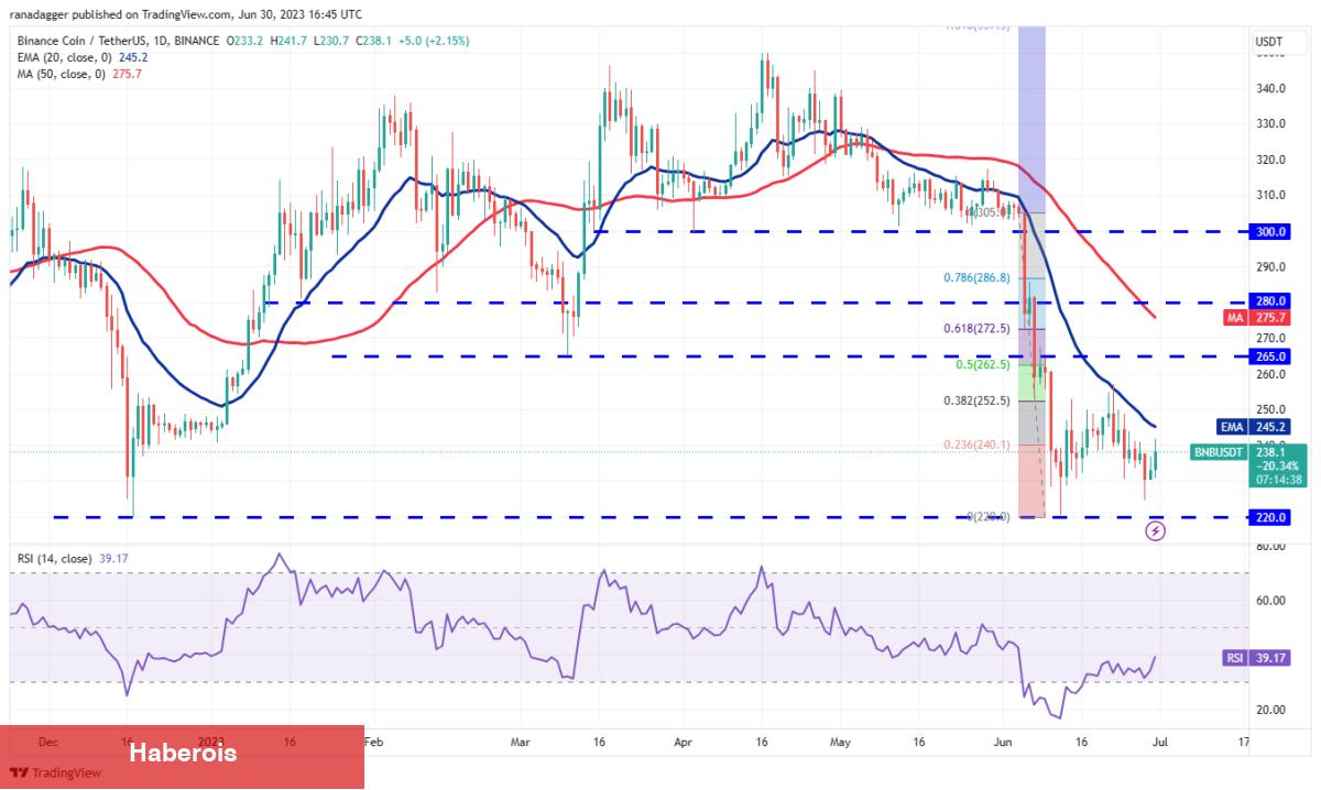 LTC, XRP, BNB ve Bu 7 Coin İçin Al-Sat Seviyeleri! - Haberois LTC, XRP, BNB ve Bu 7 Coin İçin Al-Sat Seviyeleri!