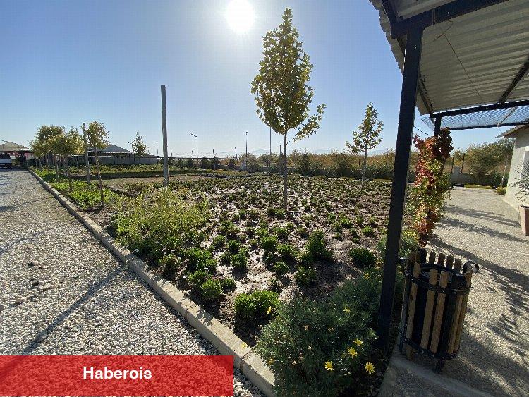 Manisa kendi serasından üretiyor