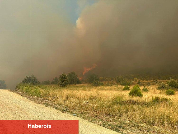 Manisa Saruhanlı'daki orman yangını geniş alana yayıldı