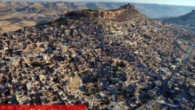 "Mardin Tarihi Dönüşüm İdaresi Başkanlığı Kurulmalı ”