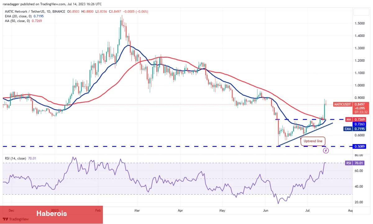 MATIC, DOGE, BTC Ve Bu 7 Coin İçin Al-Sat Stratejileri! - Haberois MATIC, DOGE, BTC Ve Bu 7 Coin İçin Al-Sat Stratejileri!