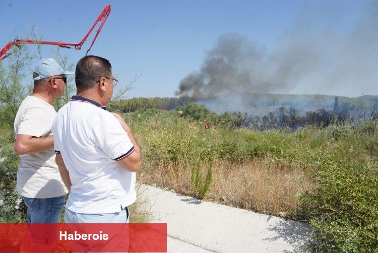 Milas'ta yangın! 2 mahalleyi tehdit ediyor