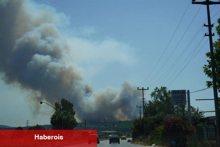 Milas'ta yangın! 2 mahalleyi tehdit ediyor