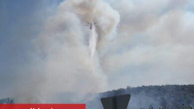 Milas'ta yangın! 2 mahalleyi tehdit ediyor