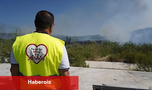 Milas'taki yangına canhıraş mücadele sürüyor - Haberois Milas'taki yangına canhıraş mücadele sürüyor