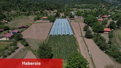 Muğla Büyükşehir Belediyesi destekleriyle Migros'ta çilek satışına başlayan üreticiler Köyceğiz'in yaylalarında yetişen ürünleri vatandaşla buluşturmanın mutluluğunu yaşıyor.