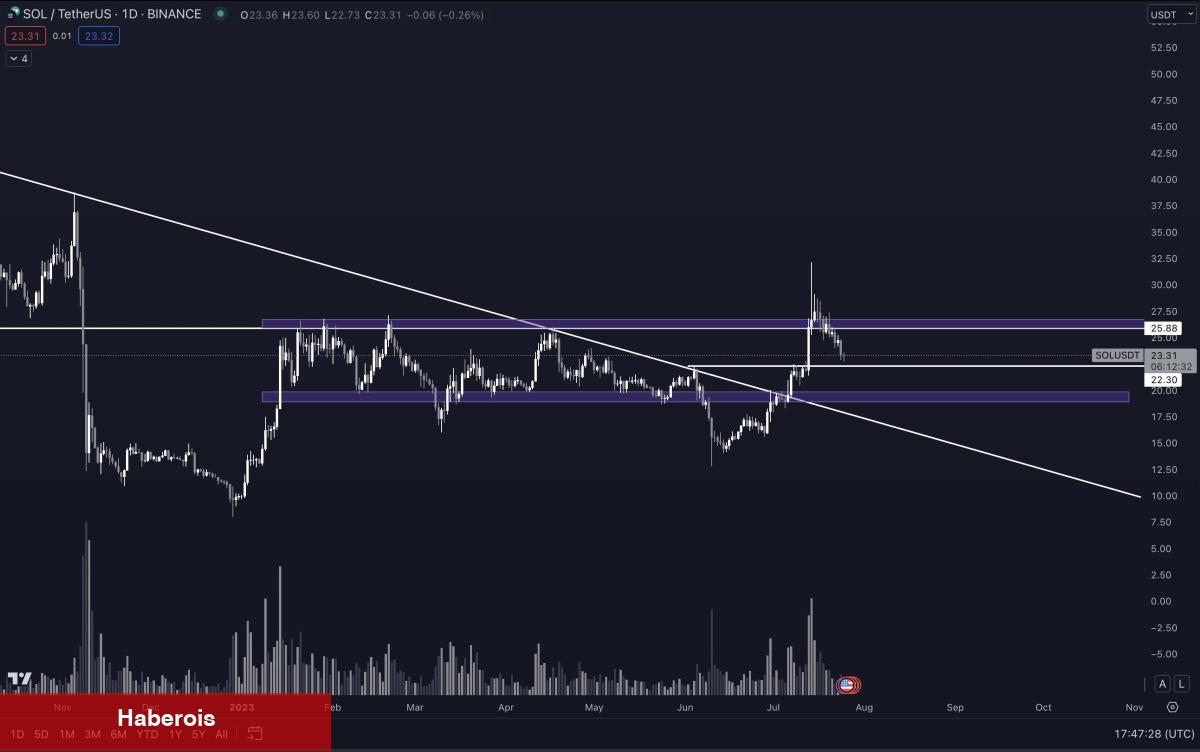 Nam Salan Analist: Bitcoin ve Bu Altcoin’de Boğayım!