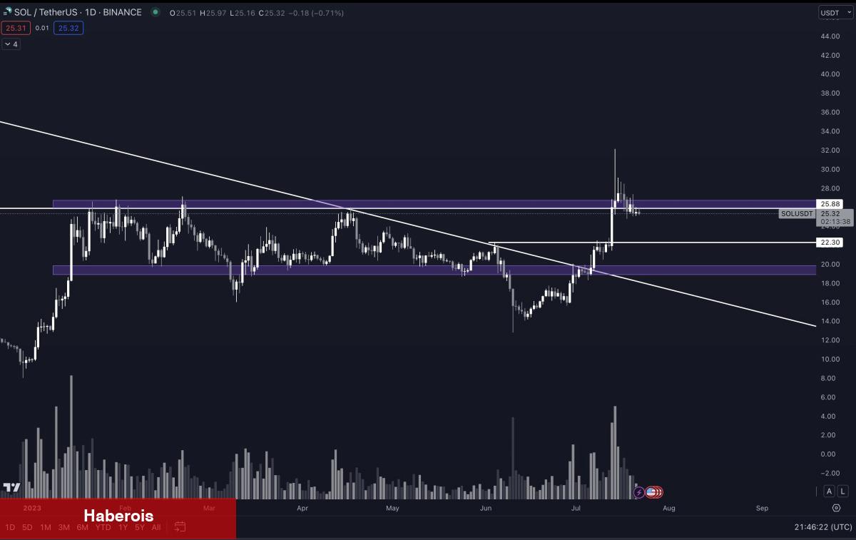 Nam Salan Analist: Bitcoin ve Bu Altcoin’de Boğayım!