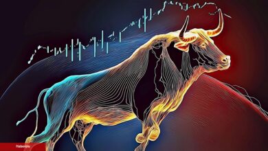 Nam Salan Analist: Bitcoin ve Bu Altcoin’de Boğayım!