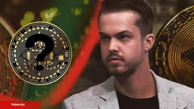 Nam Salan Analist: Bu Altcoin Ripple Üzere Patlayacak!