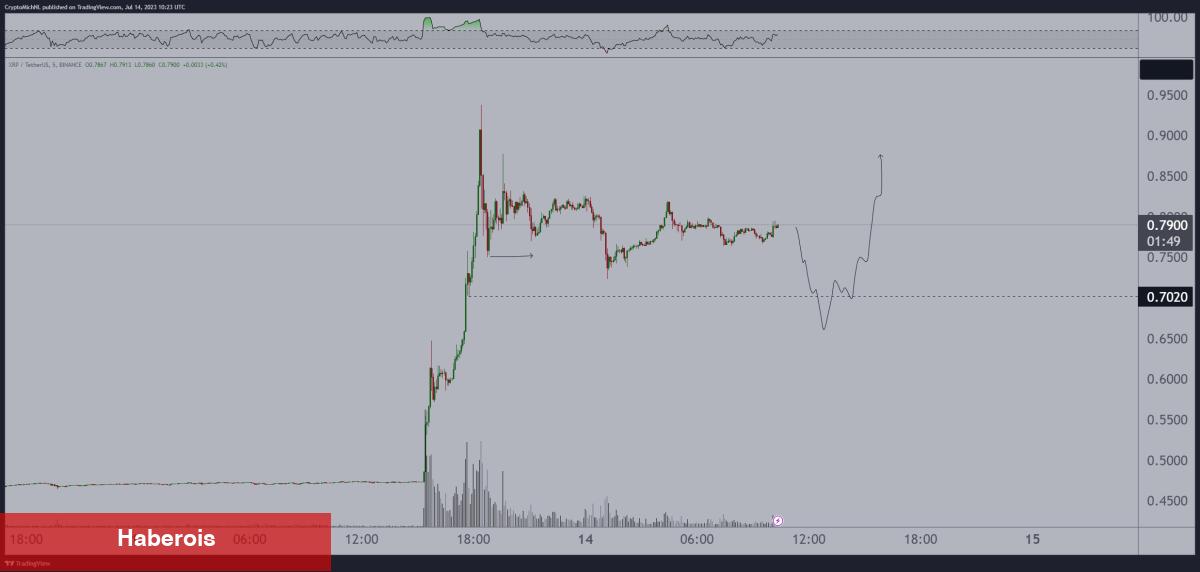 Nam Salan Analist Ralli Bekliyor! Bu 7 Altcoin İzlenmeli!