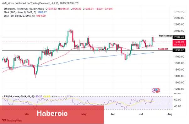 Nam Salan Analist Ralli Bekliyor! Bu 7 Altcoin İzlenmeli!