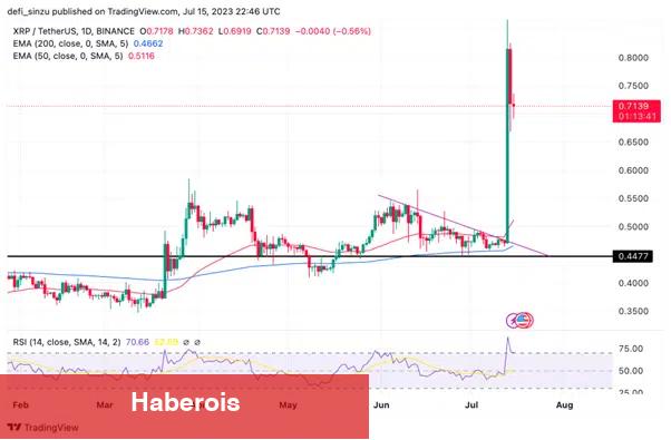 Nam Salan Analist Ralli Bekliyor! Bu 7 Altcoin İzlenmeli!