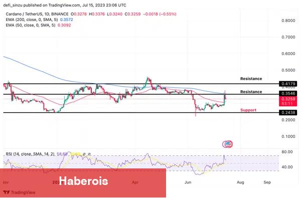 Nam Salan Analist Ralli Bekliyor! Bu 7 Altcoin İzlenmeli!