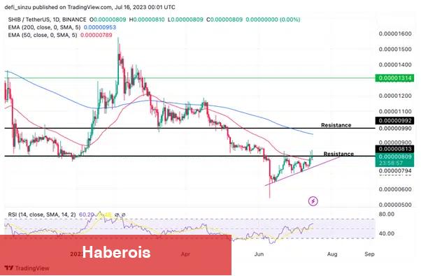 Nam Salan Analist Ralli Bekliyor! Bu 7 Altcoin İzlenmeli!