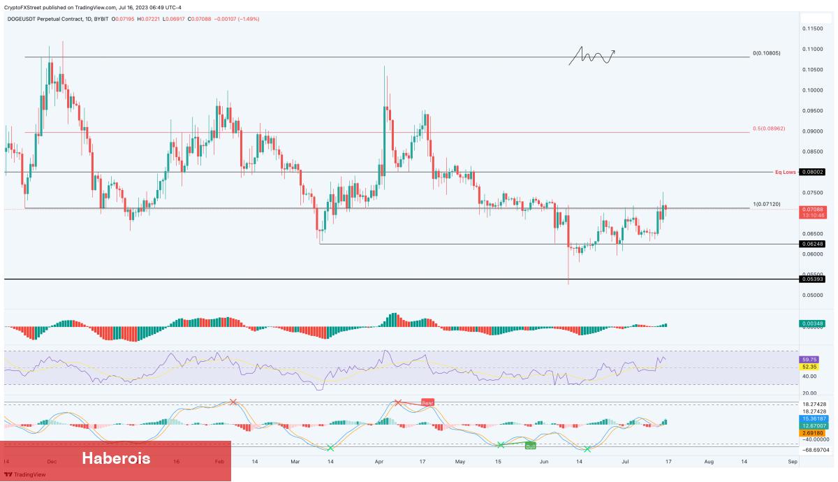 Nam Salan Analist Ralli Bekliyor! Bu 7 Altcoin İzlenmeli!
