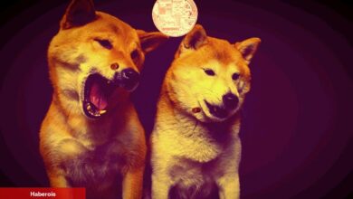 Ne DOGE Ne de BTC! Elon Musk Bu Coinden Bahsetti!