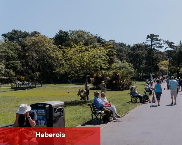 Ölmekte Olan Bir Ana Cadde Nasıl Canlandırılır? Birleşik Krallık'taki Bir Ev Sahibi Ücretsiz Kira Sundu. - Haberois Ölmekte Olan Bir Ana Cadde Nasıl Canlandırılır? Birleşik Krallık'taki Bir Ev Sahibi Ücretsiz Kira Sundu.