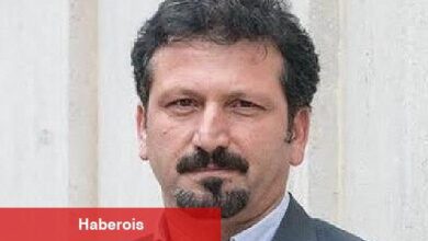 Prof. Dr. Murat Arslan: Düzenli Veteriner Hekim Kontrolleri Yalnızca Kedilerin Değil, İnsanların da Sağlığını Korur!