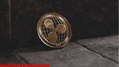 Ripple CEO’su SEC’i eleştirdi: "Uygulama yoluyla düzenleme olmaz”