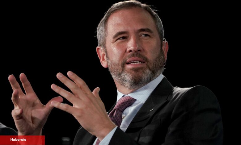 Ripple CEO’sundan XRP Davasına Yönelik Kıymetli Açıklama!