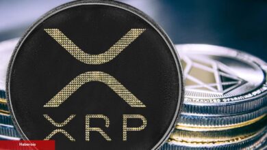 Ripple Taraftarı Avukat, XRP Davası Tenkitlerine Reaksiyon Gösterdi!