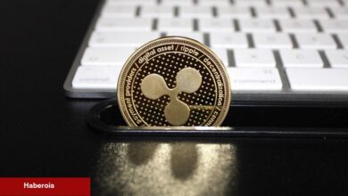 Ripple (XRP) Yöneticisi Konuştu: SEC Bizi Korkutamaz!