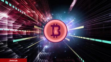 Ripple’ın Galibiyeti Bitcoin’i Daha Yükseklere Taşıyabilir mi?